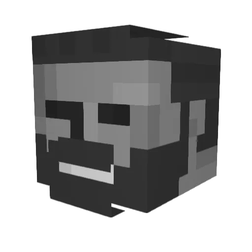 Palpo_0 Minecraft avatar head, 3D render
