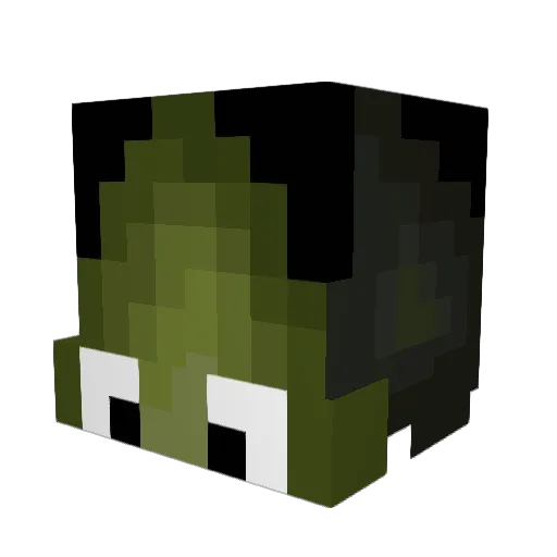 PaltaDeAyer Minecraft avatar head, 3D render