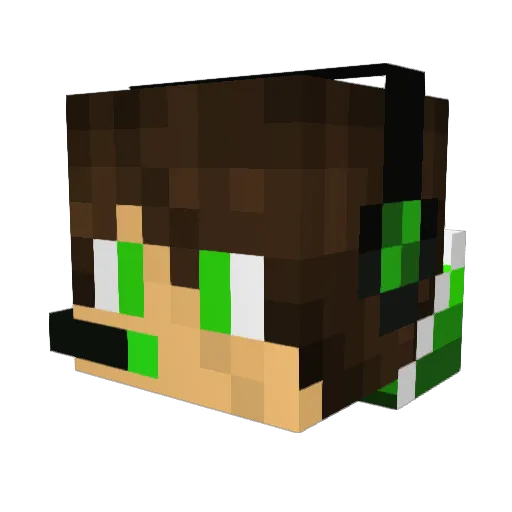 Paltak Minecraft avatar head, 3D render