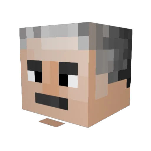 Palter999 Minecraft avatar head, 3D render