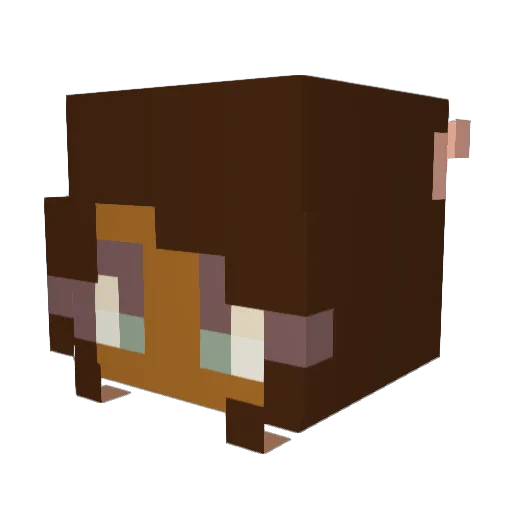 Pam_Cakezz Minecraft avatar head, 3D render