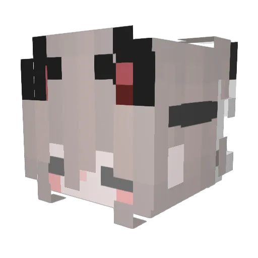 Pame__ Minecraft avatar head, 3D render