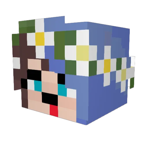 Pameeh1227 Minecraft avatar head, 3D render
