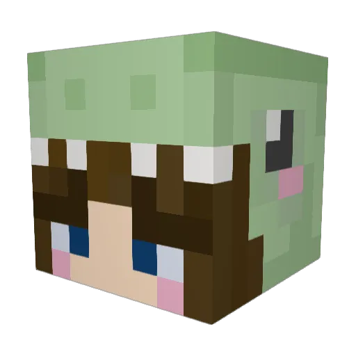 Pameme22 Minecraft avatar head, 3D render