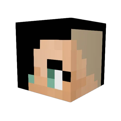 Pamluh Minecraft avatar head, 3D render
