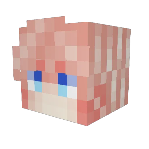 Pampers22 Minecraft avatar head, 3D render