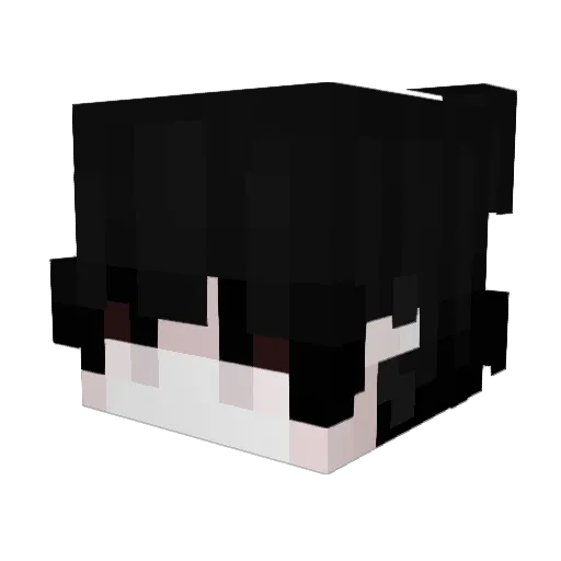 Pampersas Minecraft avatar head, 3D render