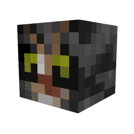 Pamu01 Minecraft avatar head, 3D render
