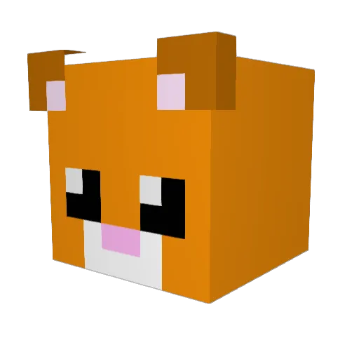 Pamzero4 Minecraft avatar head, 3D render