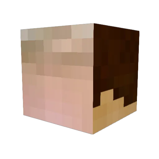 Pan0ss Minecraft avatar head, 3D render