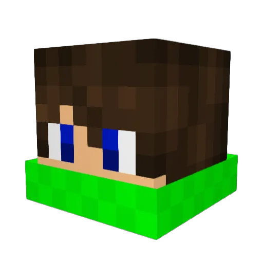 Pan1911 Minecraft avatar head, 3D render