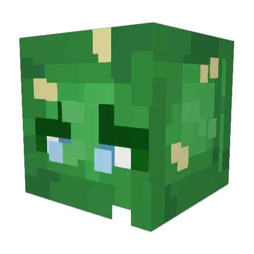 PanCactus27 Minecraft avatar head, 3D render