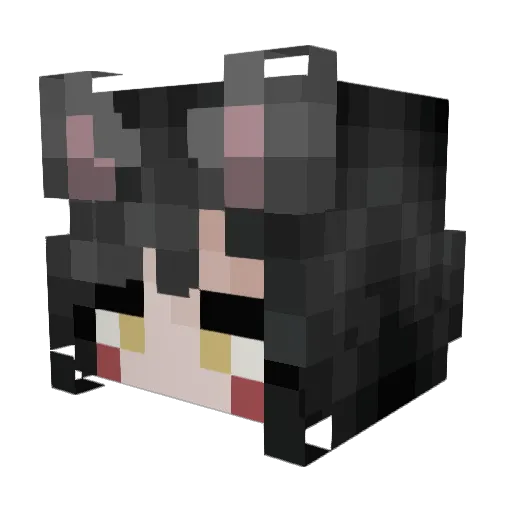 PanConQuaker Minecraft avatar head, 3D render