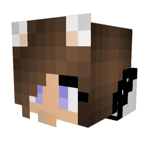 PanDolphin1 Minecraft avatar head, 3D render