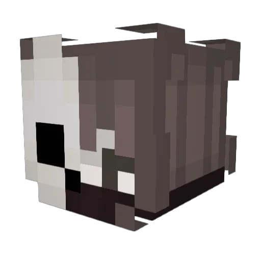 PanDora969 Minecraft avatar head, 3D render