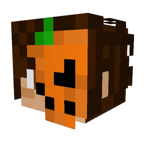 PanDynia5 Minecraft avatar head, 3D render