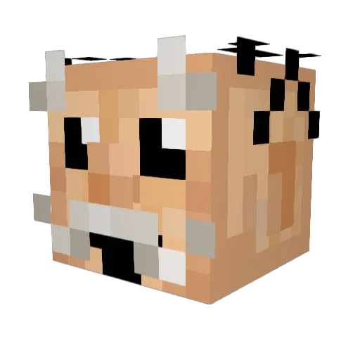 PanGato Minecraft avatar head, 3D render