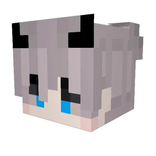 PanMaciejPL Minecraft avatar head, 3D render