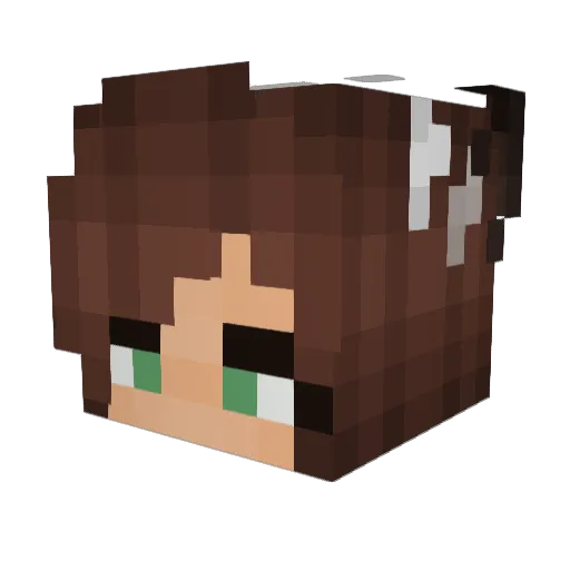 PanTHEcake44 Minecraft avatar head, 3D render