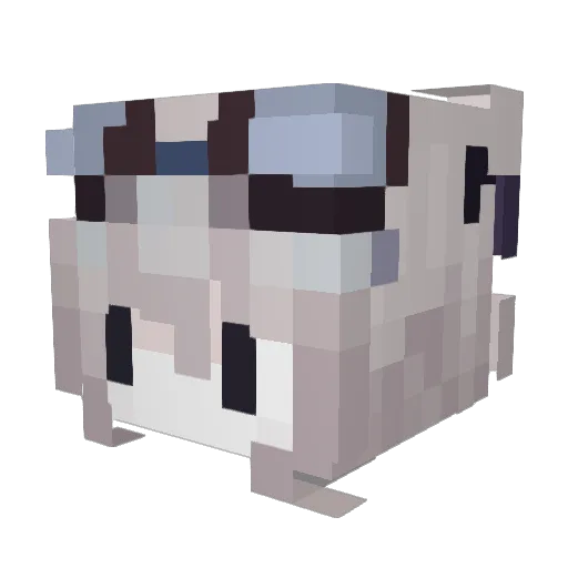 PanTiste Minecraft avatar head, 3D render