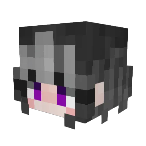 Pan_00 Minecraft avatar head, 3D render