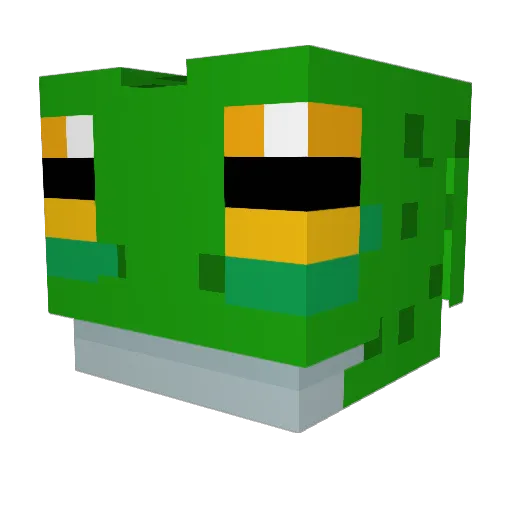 Pan_Frog Minecraft avatar head, 3D render
