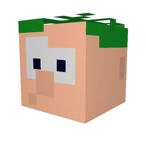 Pan_Herbatka13 Minecraft avatar head, 3D render