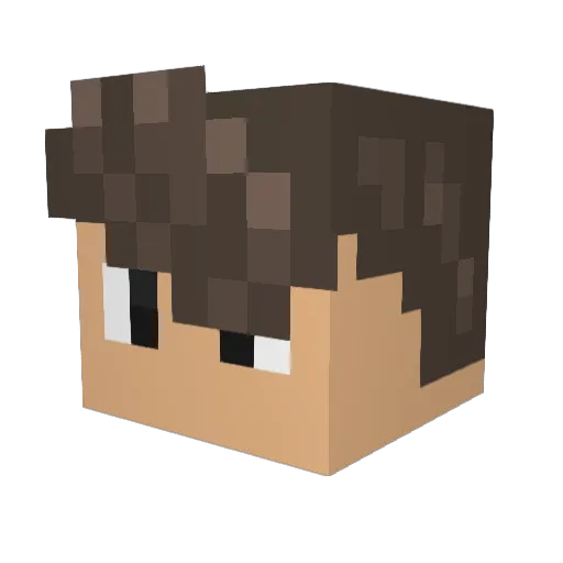 Pan_Raybetka Minecraft avatar head, 3D render