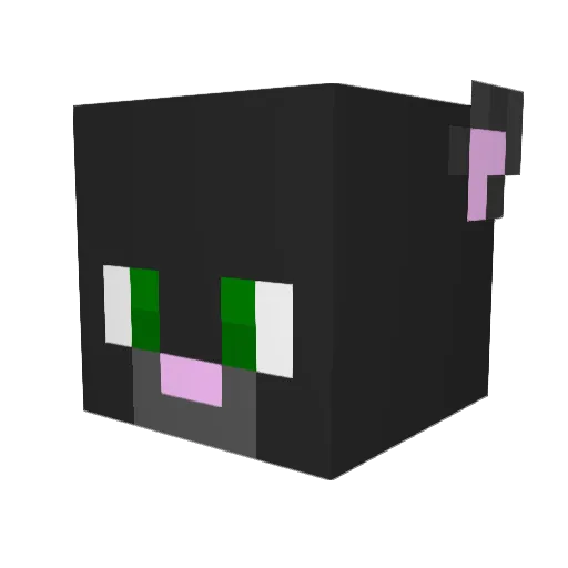 Pan_Samochodzik_ Minecraft avatar head, 3D render