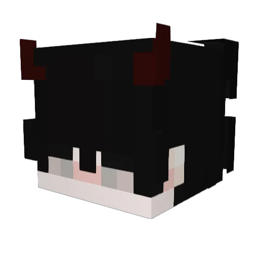 Pan_Tofelek Minecraft avatar head, 3D render