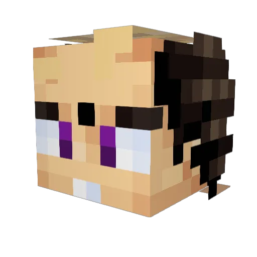 Pan_Tostado519 Minecraft avatar head, 3D render