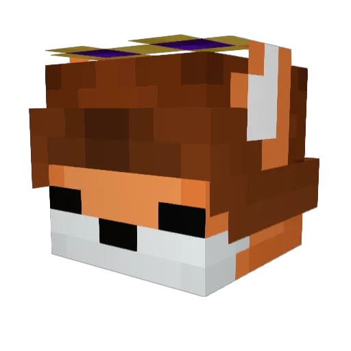 Pan__Goblin Minecraft avatar head, 3D render