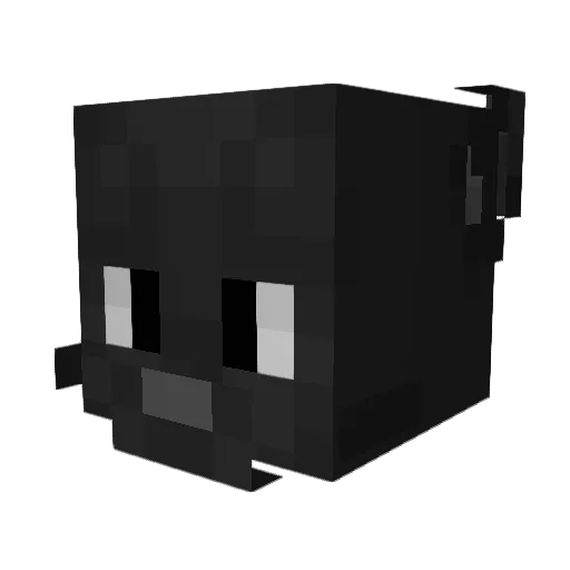 Pan__Kot Minecraft avatar head, 3D render
