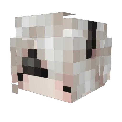 Pan_zx Minecraft avatar head, 3D render
