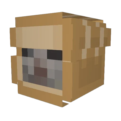 PanaderoTriste Minecraft avatar head, 3D render