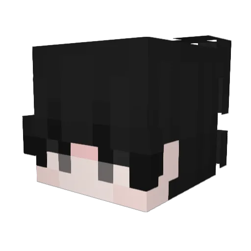 Panana___ Minecraft avatar head, 3D render