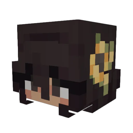 Pancaeke Minecraft avatar head, 3D render