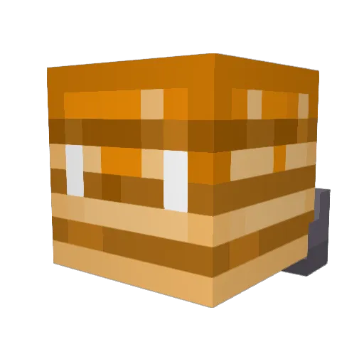 Pancake69015 Minecraft avatar head, 3D render