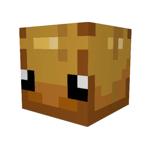 PancakeAlien445 Minecraft avatar head, 3D render