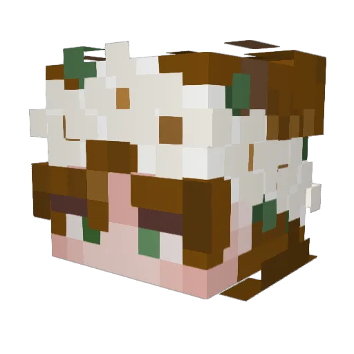 PancakeBodhi Minecraft avatar head, 3D render