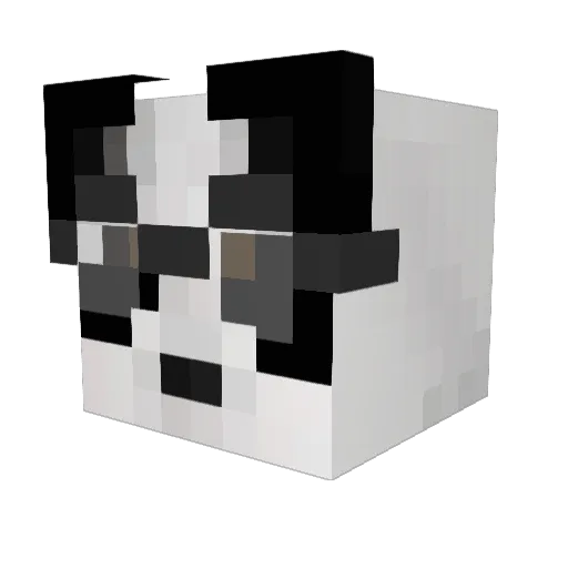 PancakeGuy4003 Minecraft avatar head, 3D render
