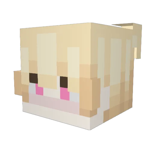 PancakeKiller_it Minecraft avatar head, 3D render