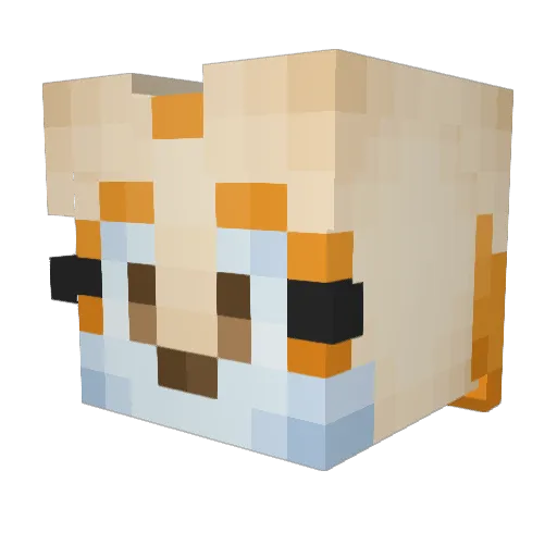 Pancake_XIII Minecraft avatar head, 3D render