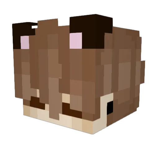 Pancakeology_ Minecraft avatar head, 3D render