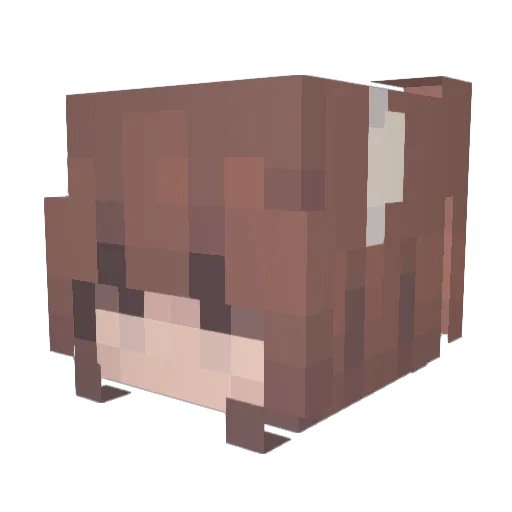 Pancakepet Minecraft avatar head, 3D render
