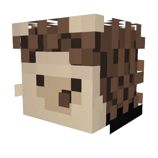 PancernyJerz Minecraft avatar head, 3D render