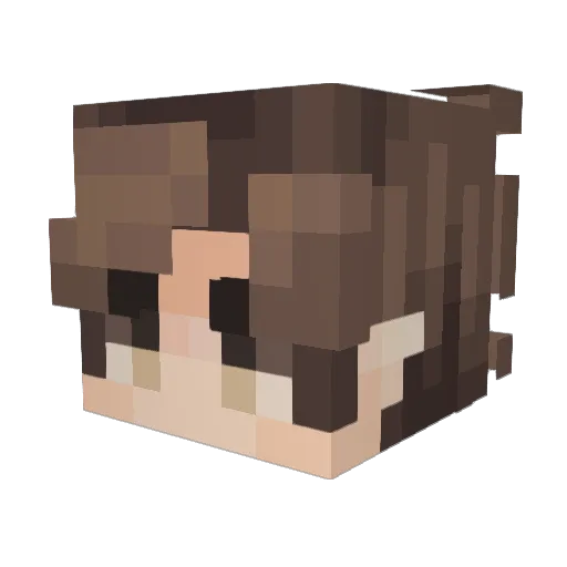 Pancha001 Minecraft avatar head, 3D render