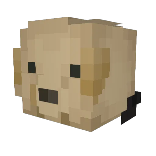 Panchito_Goat456 Minecraft avatar head, 3D render