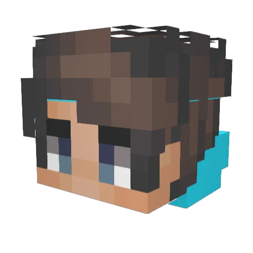 Panchlebik1 Minecraft avatar head, 3D render
