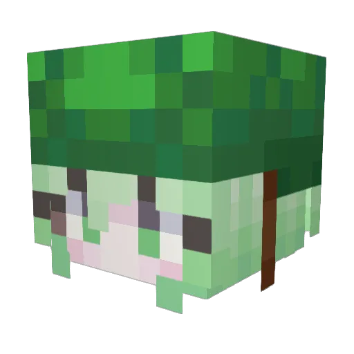 Panchooooo Minecraft avatar head, 3D render